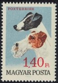 Fox Terriers