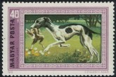 Hongaarse Greyhound