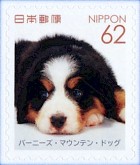 JP8795