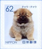 JP8798