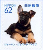 JP8799