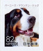 JP8805