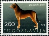 Balkanian Hound