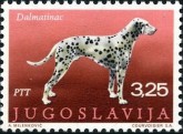 Dalmatier