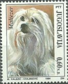 Maltezer