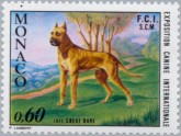 Deense Dog