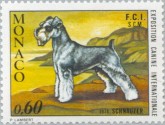 Schnauzer