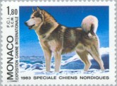 Siberische Husky