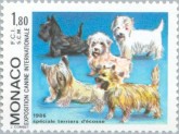 Westhighland Terrier