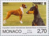 Boxer en Doberman Pinscher