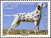 Dalmatier