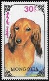 MN2321