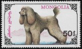 MN2323