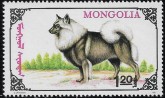 MN2326