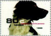 Drentse Patrijshond