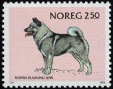 Noorse Elkhond