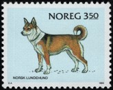 Noorse Lundehund