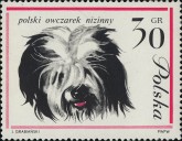 Poolse Lowland Sheepdog