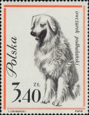 Tatra Herdershond