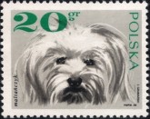 Maltezer