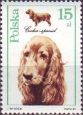 Cocker Spaniel
