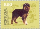 Portugese Herder