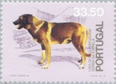 Portugese Herder