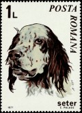 Setter