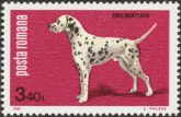 Dalmatier