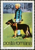 Blindengeleidehond