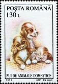 Puppies