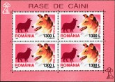 Collie