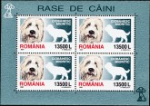 Roemeense Herder