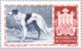 Borzoi