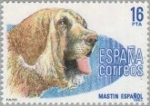 Spaanse Mastiff