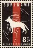 Beschermhond