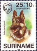 Duitse Herder