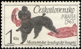Poedel
