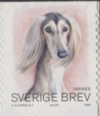 Saluki