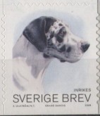 Deense Dog