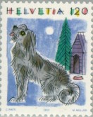 Hond